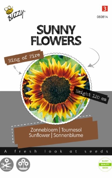 Sonnenblume Ring of Fire (Helianthus) 25 Samen BU